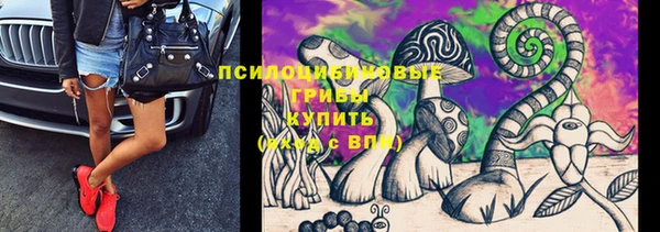 МДПВ Балахна