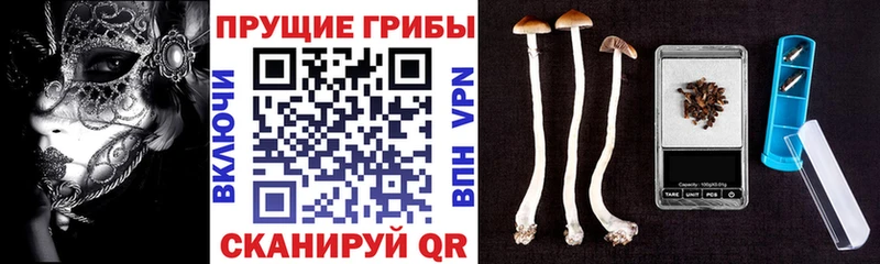 Псилоцибиновые грибы мухоморы  дарк нет формула  Нея 